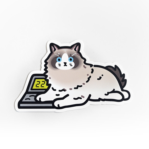 貓就是這樣用文具明信片 計算機 第1張的照片