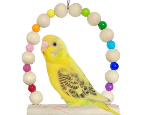 Sサイズ】日本製 天然木 セキセイインコ 14cm前後 インコ 鳥