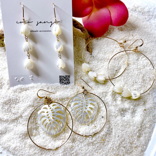 14kgf ホワイトシェル  (モンステラ) 14kgf ホワイトシェル (モンステラ)