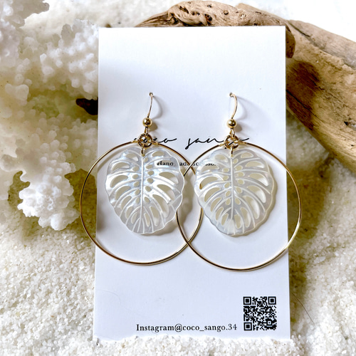 14kgf ホワイトシェル (モンステラ)