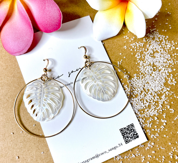 14kgf ホワイトシェル (モンステラ)