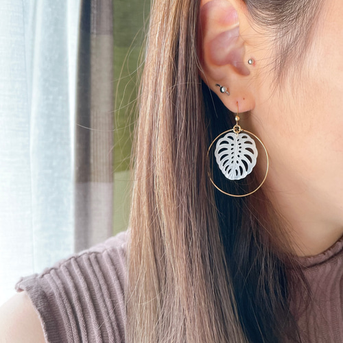 14kgf ホワイトシェル  (モンステラ) 14kgf ホワイトシェル (モンステラ)