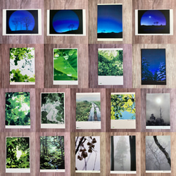 【Creema限定set】樹木ポストカード［全18枚］嬉しいセット価格 1枚目の画像
