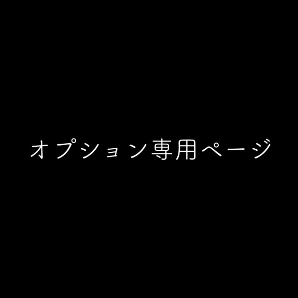 オプション専用ページ 1枚目の画像