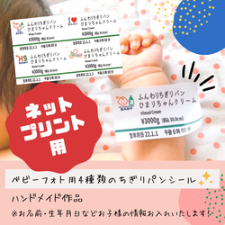 ヴィンテージシガーバンド 8束セット ビンテージ シガーバンド・アソート☆30枚入【mc】 その他素材