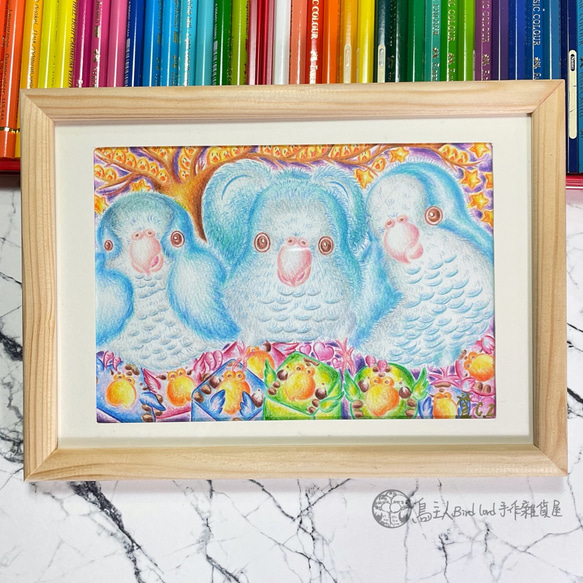 鳥飼い手描き｜モンクオウム｜フレーム付き｜モンクオウム オウム