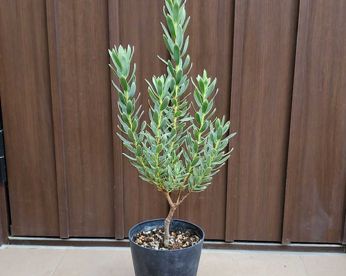 6795d5c6890aeead7e0fd97817f261