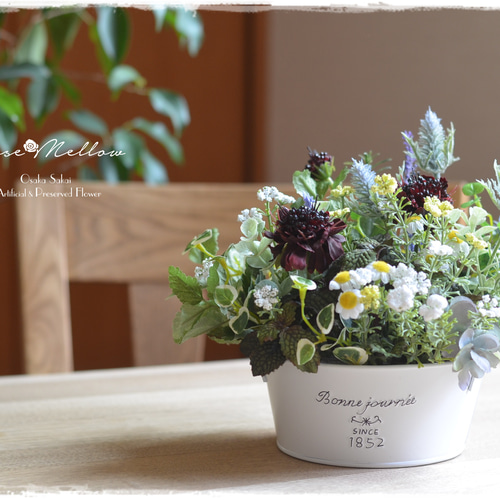All flowers⭐️新品レア6枚set⭐️ラベンダー　たんぽぽ　カモミール All flowers⭐️新品レア6枚set⭐️ラベンダーたんぽぽカモミール