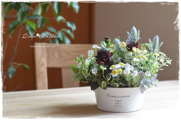 All flowers⭐️新品レア6枚set⭐️ラベンダー　たんぽぽ　カモミール All flowers⭐️新品レア6枚set⭐️ラベンダー たんぽぽ
