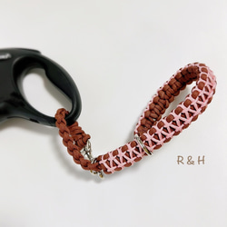 パラコード カフェリード パステルレインボー 小型・中型犬用 リード