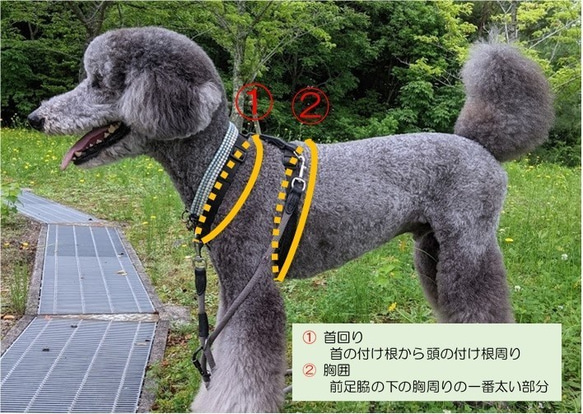 可愛いカモフラ色のハーネス　小型犬用　お揃いのリードもお作り出来ます。 6枚目の画像