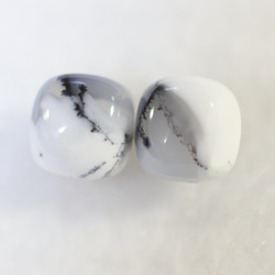 (1 件) Dendrite 蛋白石耳釘（8 毫米方形鈦柱） 第1張的照片