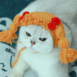 ins前髪のあるかわいい三つ編み猫の帽子☆ペットのヘッドギア☆写真の小道具☆Creema限定春色新作2023 3枚目の画像