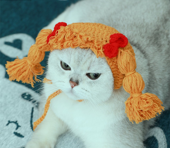 ins前髪のあるかわいい三つ編み猫の帽子☆ペットのヘッドギア☆写真の小道具☆Creema限定春色新作2023 3枚目の画像