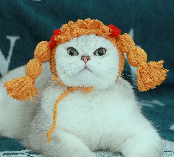 ins前髪のあるかわいい三つ編み猫の帽子☆ペットのヘッドギア☆写真の小道具☆Creema限定春色新作2023 1枚目の画像