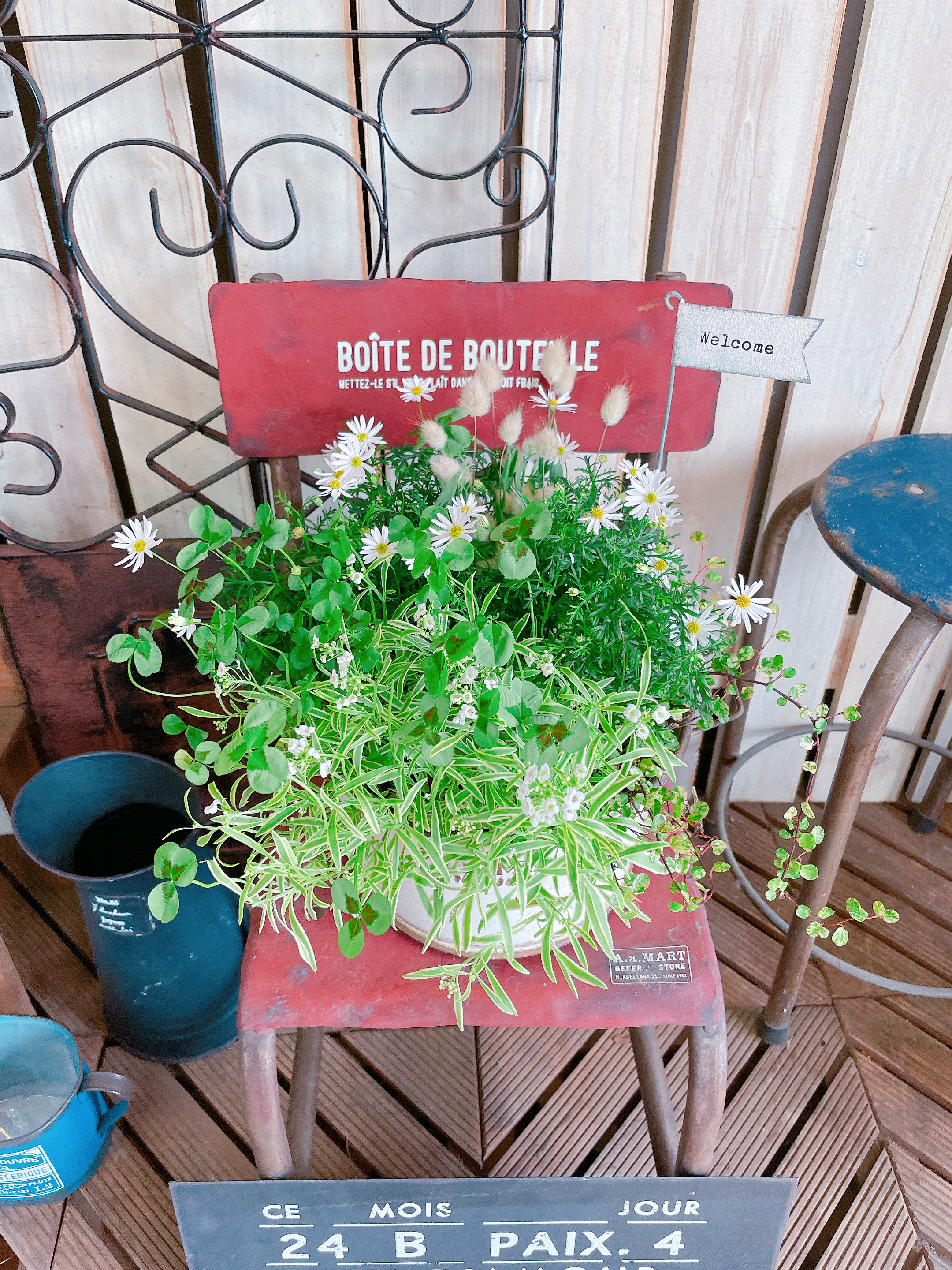 現品SALE♡【優しいナチュラルカラー寄せ植え】毎年楽しめる