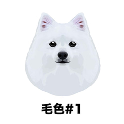 【 スピッツ 毛色1色 左下デザイン】スマホケース クリアソフトケース 犬 iPhone &Android 2枚目の画像