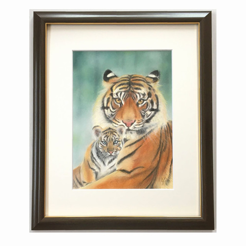 トラ【原画 ポストカードサイズ 色鉛筆画】 絵画 ちさと 通販 トラ【原画 ポストカードサイズ 色鉛筆画】 絵画 ちさと 通販