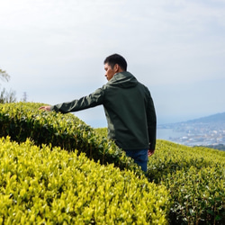 食べても美味しいお茶！令和4年新茶！杉山貢大農園の高級品種さえみどりの被せ煎茶「貢大」10g 10枚目の画像