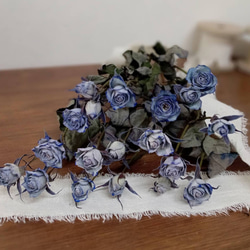 ドライフラワースターチス ブルーハワイ その他素材 Rose｡｡ 通販