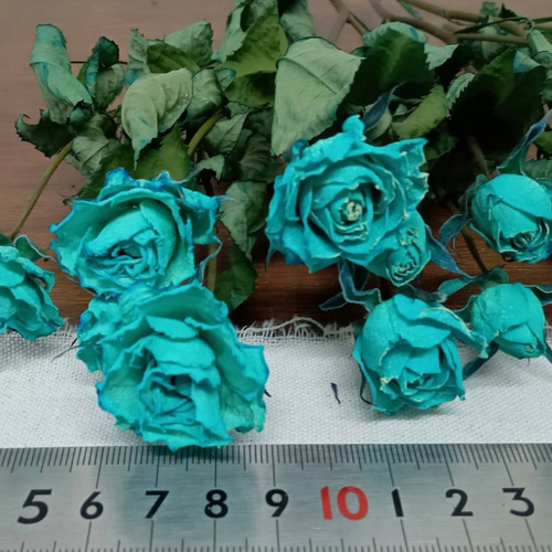 ドライフラワー スプレーバラ 染めブルー ドライフラワー Rose｡｡ 通販