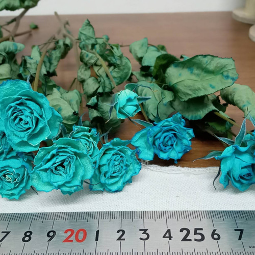 ドライフラワー スプレーバラ 染めブルー ドライフラワー Rose｡｡ 通販