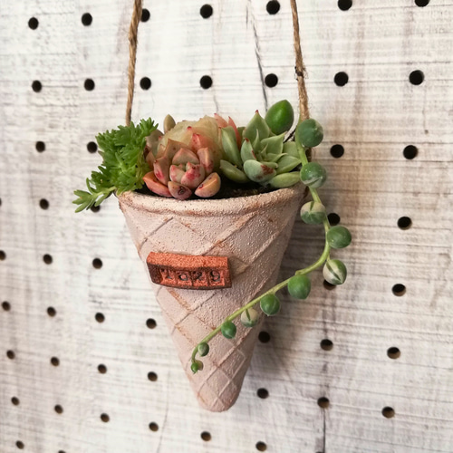 中華のおせち贈り物 寄せ植え 多肉植物 リメイク缶 リメ缶 リメ鉢 リメイク鉢 妖しい その他