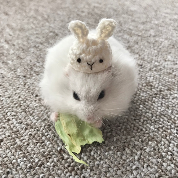 うさくまさんセット　ハムスター⋆小動物⋆ぬいぐるみ 8枚目の画像