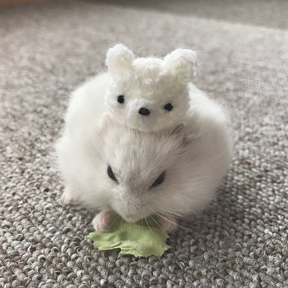 うさくまさんセット　ハムスター⋆小動物⋆ぬいぐるみ 11枚目の画像