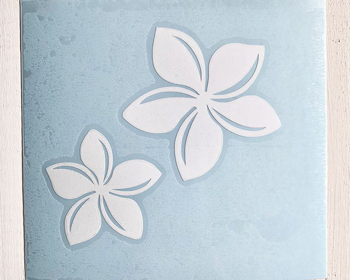 556579985aeb625943a5896d6d0a2e