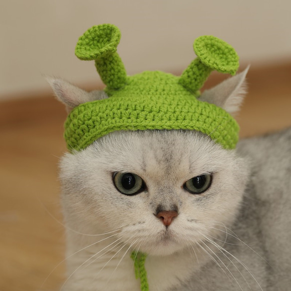 シュレックモンスターの猫帽子☆ペットのヘッドギア☆写真の小道具☆Creema限定春色新作2023 2枚目の画像