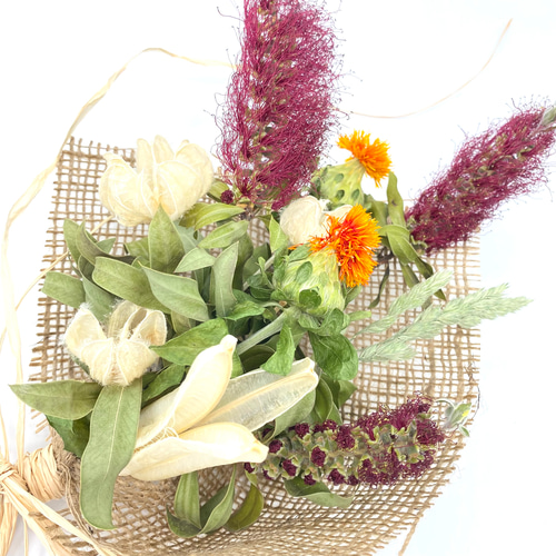 ドライフラワー スワッグ 金宝樹 ブラシの木 紅花 S2 ドライ
