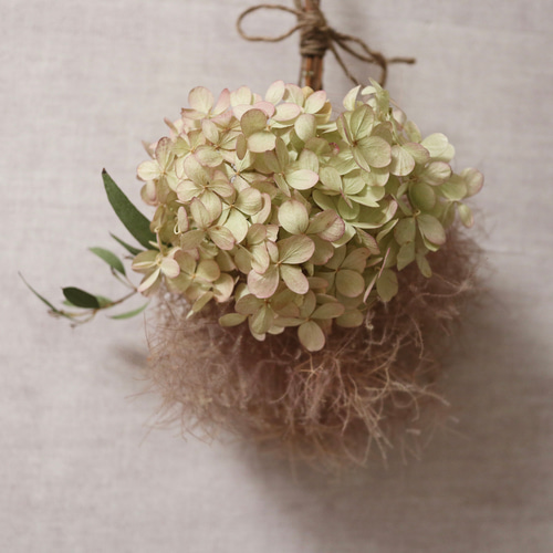 専用＊スモークツリー&アジサイ  ドライフラワースワッグ ドライフラワースワッグ スモークツリー＆アジサイ スワッグ naanaanaa