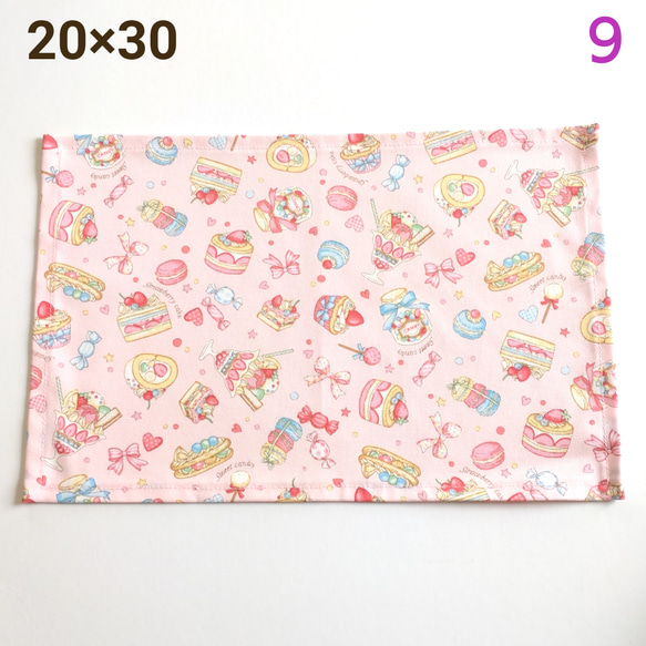 ランチョンマット20×30 5枚セット　保育園　幼稚園　女の子 ランチョンマット20×30 5枚セット 保育園 幼稚園 女の子 ランチョン