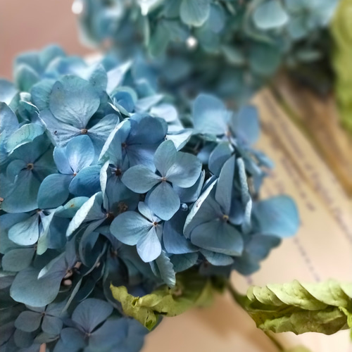 秋色紫陽花ドライフラワーと白い紫陽花と白い野草のセット