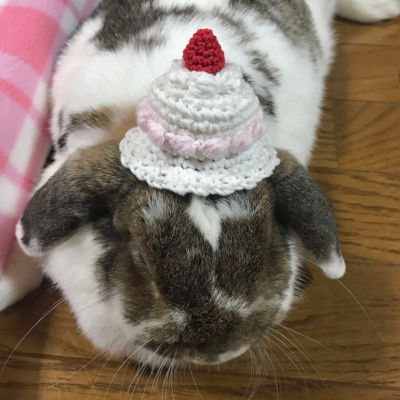 ふんわりケーキハット　ペット⋆ ぬいぐるみ 6枚目の画像