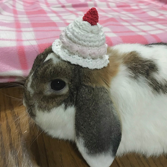 ふんわりケーキハット　ペット⋆ ぬいぐるみ 5枚目の画像