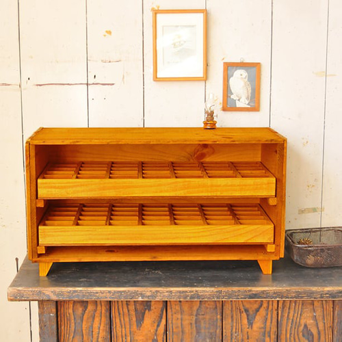 大型標本箱収納箱 Amazon | 大型ドイツ型標本箱（黒） | 生態・採集 | おもちゃ