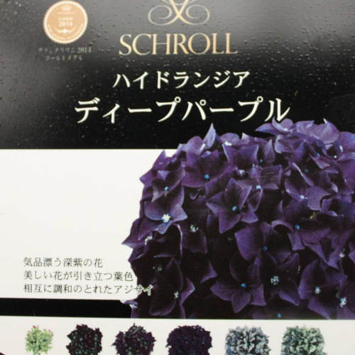 アジサイ✿ディープパープル✿ハイドランジア❀秋色アンティーク