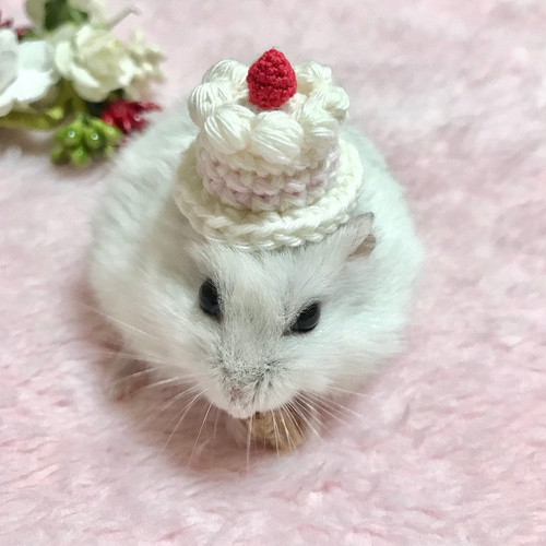 ふんわりケーキハット ハムスター・小動物・ぬいぐるみ ペット服