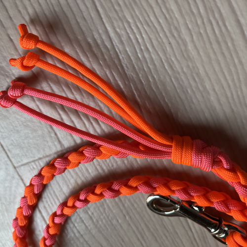 パラコードリード　ユニオンジャック 　№060 楽天市場】PARACORD JOINT パラシュートコード 首輪とハーネスを