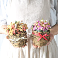 母の日フラワー【2023母の日】【特集掲載】sweet pink mini flower basket ドライフラワー 10枚目の画像