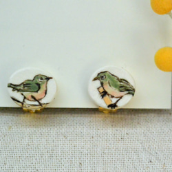 メジロのイヤリング　野鳥　手作り陶芸　陶器のアクセサリー　黄緑　めじろ 3枚目の画像