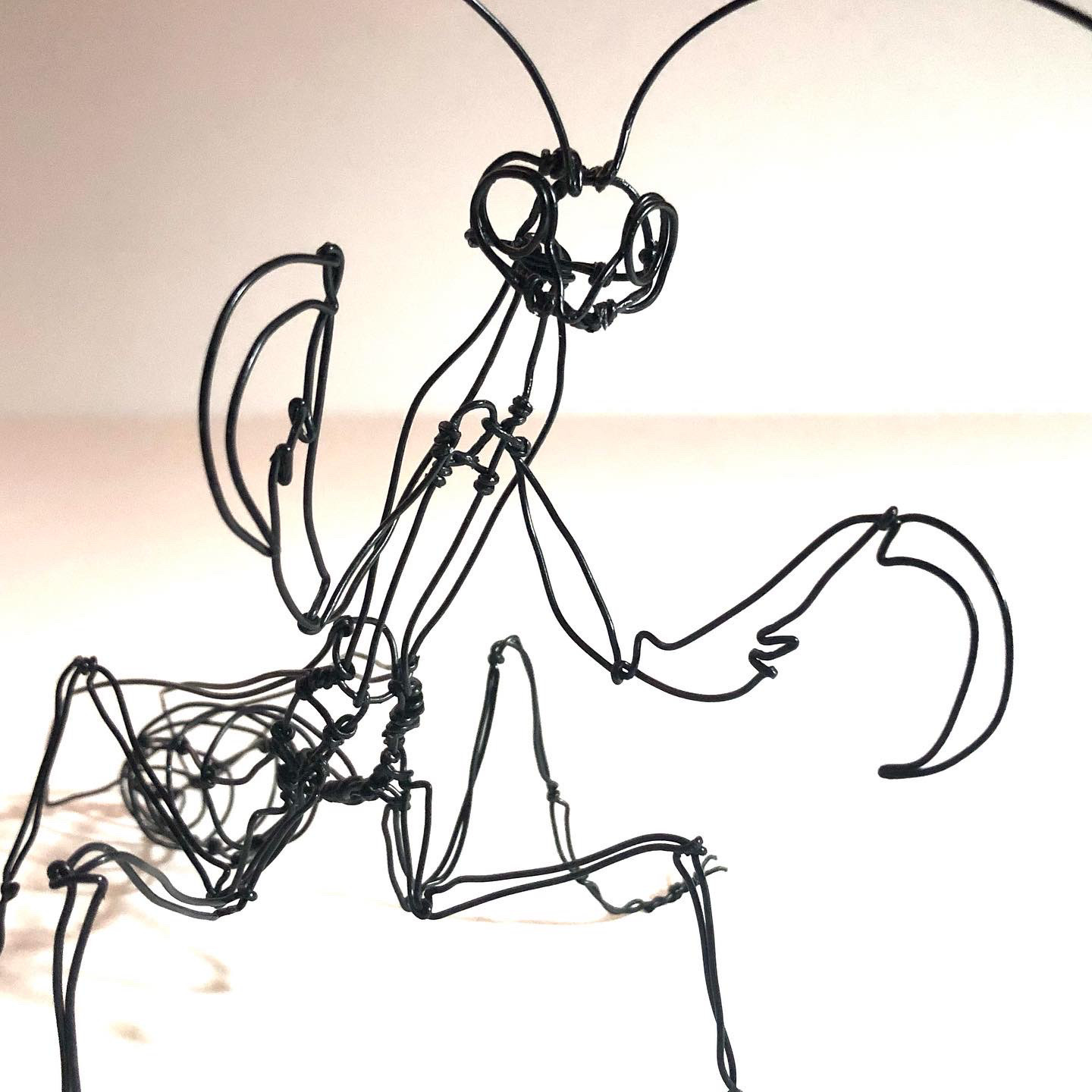 染色絵画　カマキリ