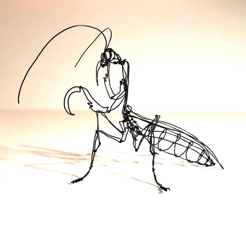 染色絵画 カマキリ 染色絵画 カマキリ カマキリ11.JPG