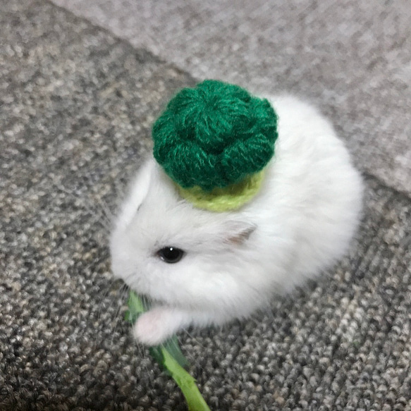 ブロッコリーの帽子　ハムスター⋆小動物⋆ぬいぐるみ 4枚目の画像