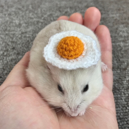 目玉焼きの帽子 ハムスター・小動物・ぬいぐるみ ペット服