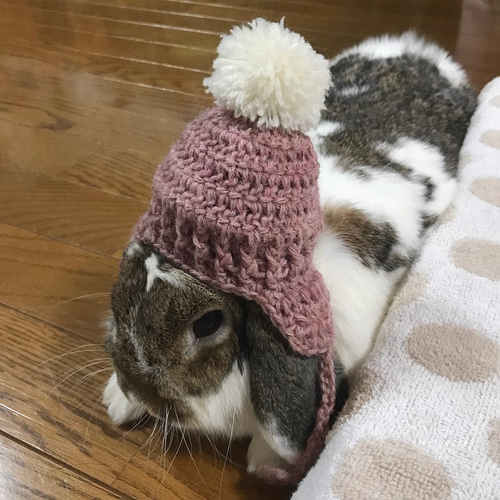 ぬい服　帽子　うさぎ　14 ぬい服 帽子 うさぎ 14 - メルカリ