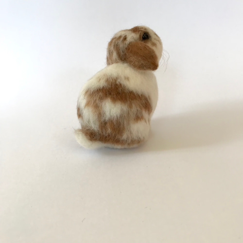 うさぎ 羊毛フェルト ロップイヤー ミニうさぎ ブロークンオレンジ