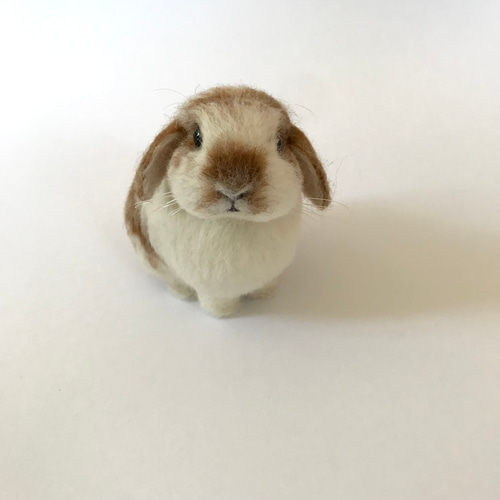 うさぎ 羊毛フェルト ロップイヤー ミニうさぎ ブロークンオレンジ